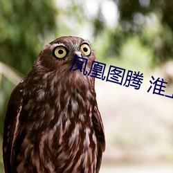 凤(鳳)凰图(圖)腾 淮上