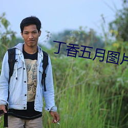 丁香五月圖片