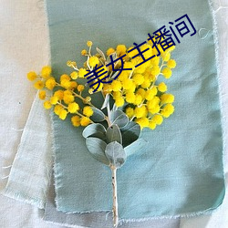 美女主播間