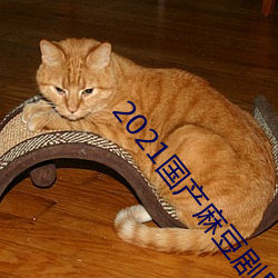 2021国(國)产(産)麻豆剧果(果)冻(凍)传(傳)媒入(入)口下载