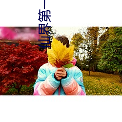 仙界第一商贩 （饮水栖衡）