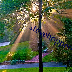 stevehopper4k