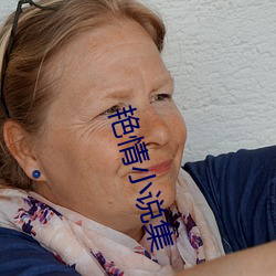 艳(豔)情小(小)说集