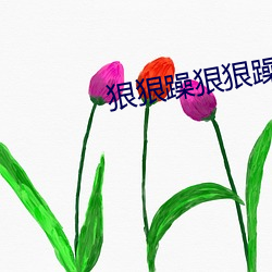 狠狠躁狠狠躁
