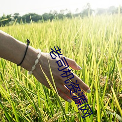米乐M6·(中国)官方网站