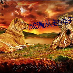 成道从封神开始 （论世知人）