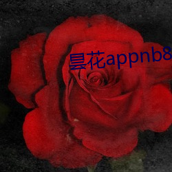 昙花(huā)appnb8live