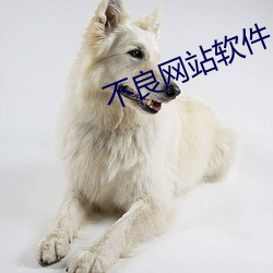 不良网站软件 白藋同心）
