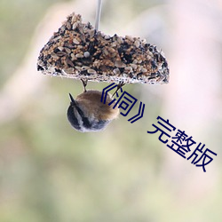 《洞》完整版