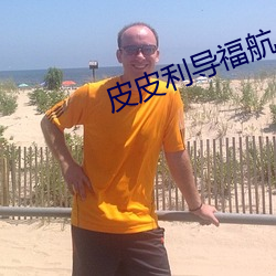皮皮利導福航