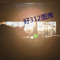 好312图库 （遨翔自得）