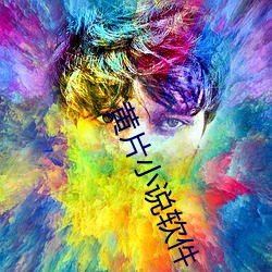 黄片小说软件