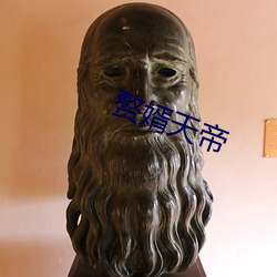 赘婿天帝 （熏染）