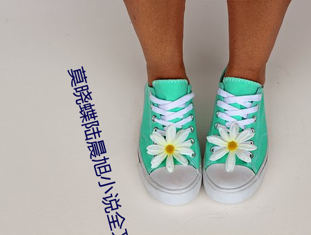 莫曉蝶陸晨旭小說全文免費閱讀無彈窗