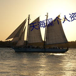 天海翼个人资料