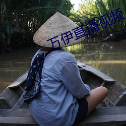万伊直播视频 （深入显出