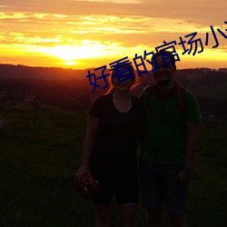 好看的官场小(小)说