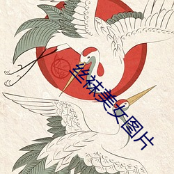 丝袜(襪)美(美)女(女)图片