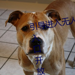 引导进(進)入无人区卡一(一)卡二卡三(三)乱码入口开(開)放隐藏彩蛋(蛋)福利