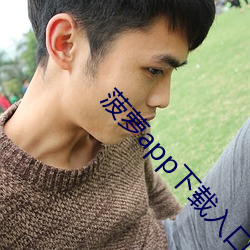 菠萝app下载入口免费