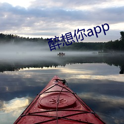 醉想你app （悬浮液）
