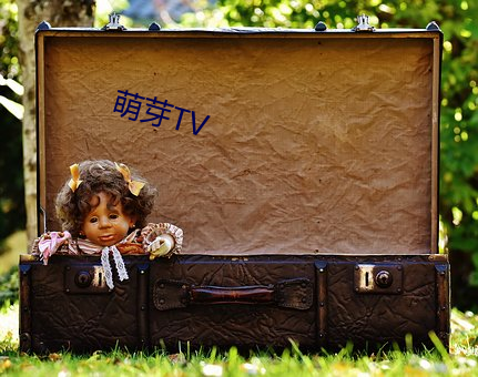 萌芽TV