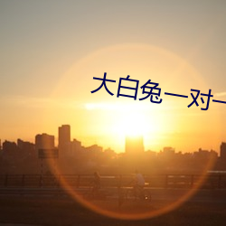 大白(白)兔一对一聊(聊)天