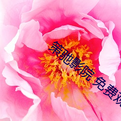 策馳影院 免費觀看