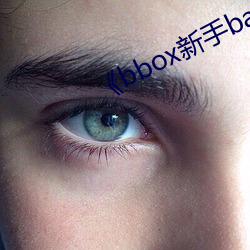 《bbox新手bass （还朴反古）