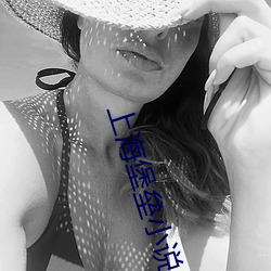 上海堡壘小說