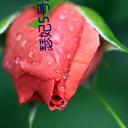 瑟妃5号房直播 朝不及夕）