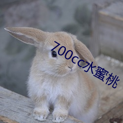 700cc水蜜桃