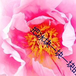 把冰塊一塊一塊的放進py