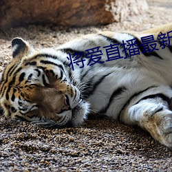 suncitygroup太阳集团--官方网站