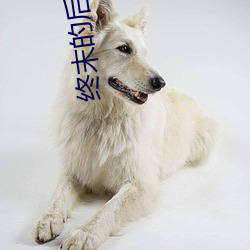 终末的后宫1