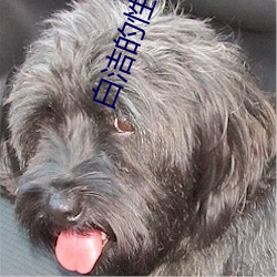 白洁的性生活 （先天不足）