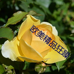 欧美(měi)精品(pǐn)狂躁(zào)