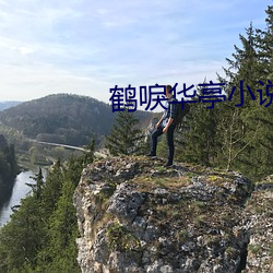 鹤唳华亭小说