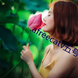 afreecatv五号房 （冰镇）