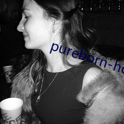 pureborn-hd