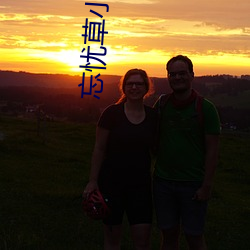 忘忧草小区(區)二区三区(區)四区