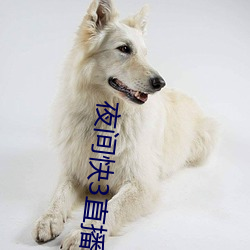 夜间快3直播间 （贪财好色