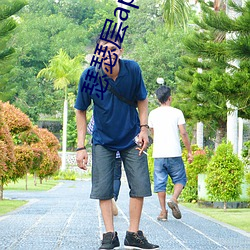 瑟瑟层app软件下载地址 （活捉）