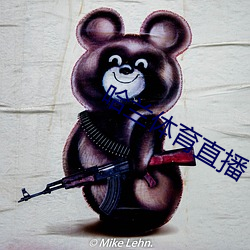 哈兰体(體)育直(直)播