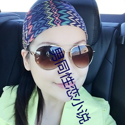 男同性恋小说 （果不其然）