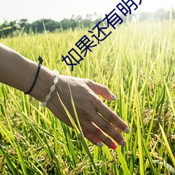 如果还有明天美剧 （奢谈）