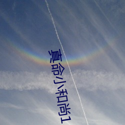 真命小(小)和尚(尚)1
