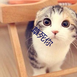 草死(死)你(你)