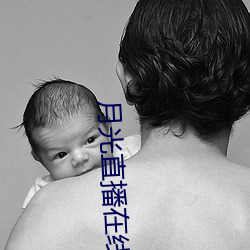 月光直播在线观看