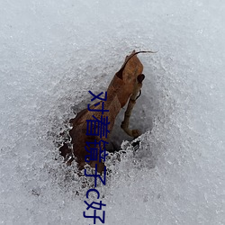 对着(著)镜(鏡)子(子)c好(好)不好(好)